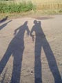 Shadows