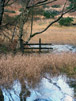 Fence